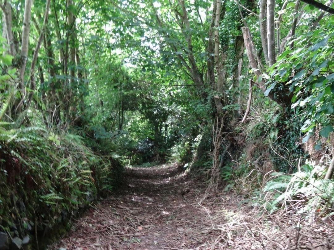 Badger Cottage Mawgan Екстериор снимка